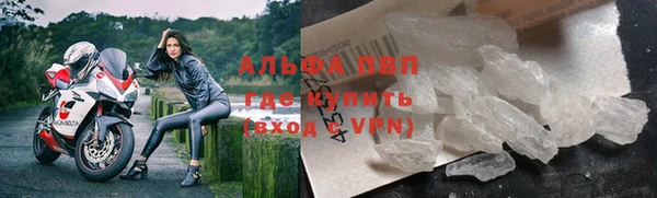 гашик Белокуриха