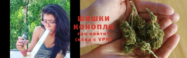 ГАЛЛЮЦИНОГЕННЫЕ ГРИБЫ Беломорск