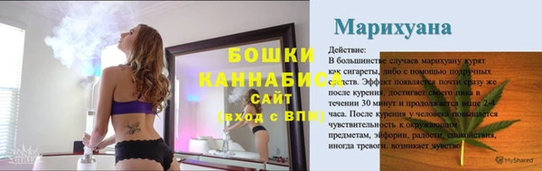 гашик Белокуриха