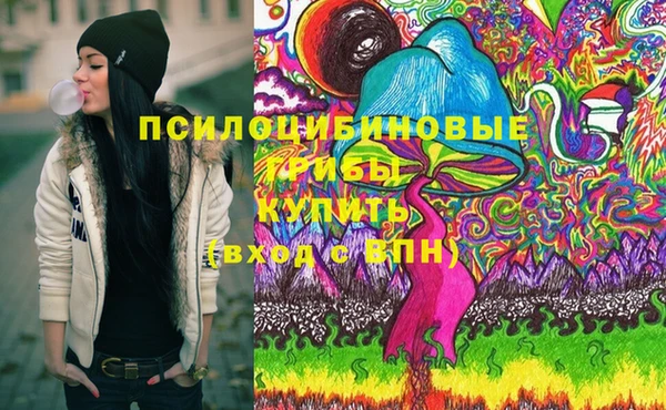 крисы Белоозёрский
