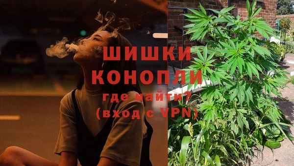 ГАЛЛЮЦИНОГЕННЫЕ ГРИБЫ Беломорск