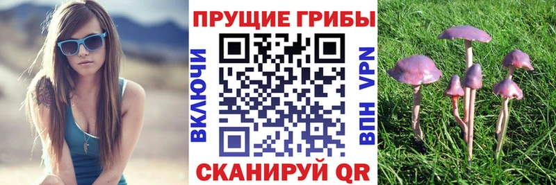 Псилоцибиновые грибы GOLDEN TEACHER  Короча 